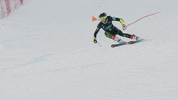Team Usa Sport GIF by U.S. Ski & Snowboard Team
