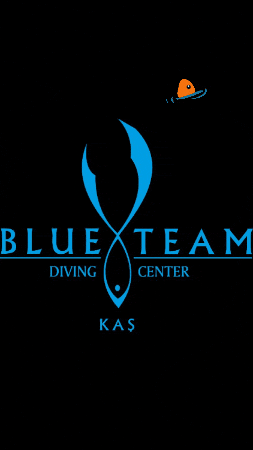 Blueteamdiving giphygifmaker giphyattribution blueteamdivingcenter blueteamdiving GIF