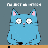 Confused Blue Cat GIF