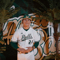 South Florida Baseball GIF by USF Athletics