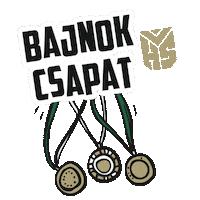 honvedelmi_sport honvedelmisport hsport csapat bajnok Sticker