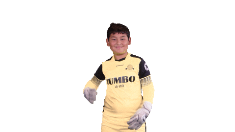 Voetbalvereniging_Scherpenzeel giphyupload sport voetbal bal Sticker