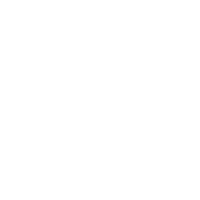Ginkgo Sticker by Stereo Productions