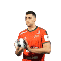 Letsgovamos Sticker by Federação de Andebol de Portugal
