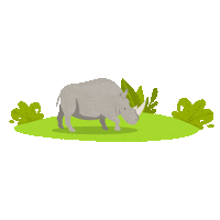 Wild Life Familia Sticker by Zoofari Centro de Conservación