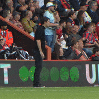 Premier League Football GIF by AFC Bournemouth