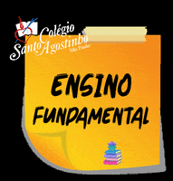 Educacao Estudos GIF by Colégio Santo Agostinho