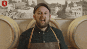 party weekend GIF by Fohrenburger