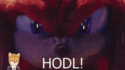 MemeRusher money crypto bitcoin hodl GIF