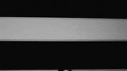 music video band GIF by Epitaph Records