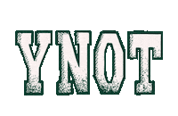 Music Festival Sticker by Y Not Festival