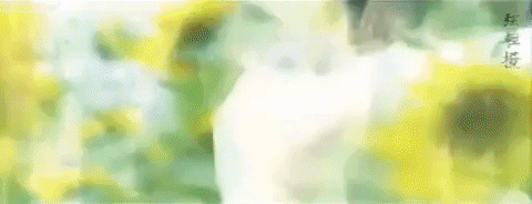 i love you jin fei shi jia GIF