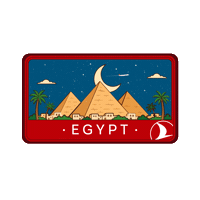 Cairomarathon Sticker by Turkish Airlines
