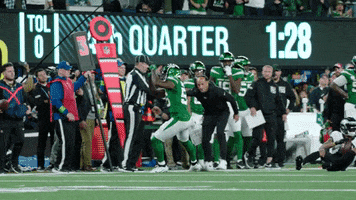 Football Celebration GIF by New York Jets