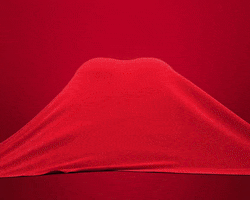 Valentines Day Love GIF by We Set The Standards