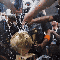 New York Knicks Champagne GIF