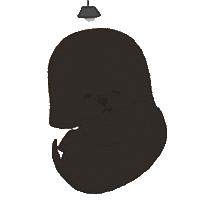 Dog Illustrate Sticker