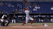 Regular Season Sport GIF by MLB