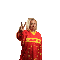 Stan Sticker by Starostové a nezávislí