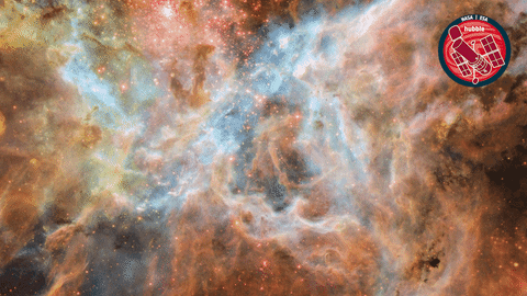Universe Cosmos GIF by ESA/Hubble Space Telescope