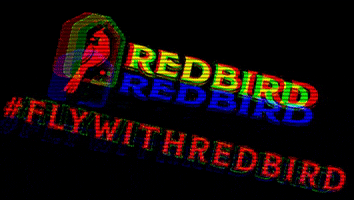RedbirdRealty redbirdrealty GIF