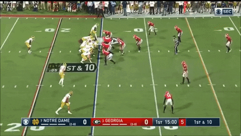 dskevin giphygifmaker GIF