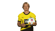 Borussia Dortmund Ball Sticker by Bundesliga