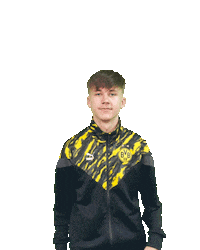 Bvb Sticker by Borussia Dortmund