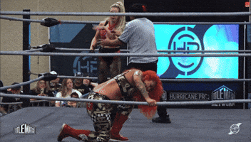 Indie Wrestling GIF