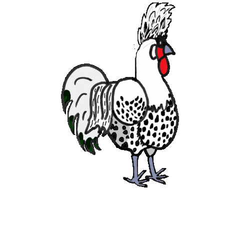 Appenzeller Sticker