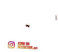 Fake Accountboi Sticker by BORN ON INSTAGRAM