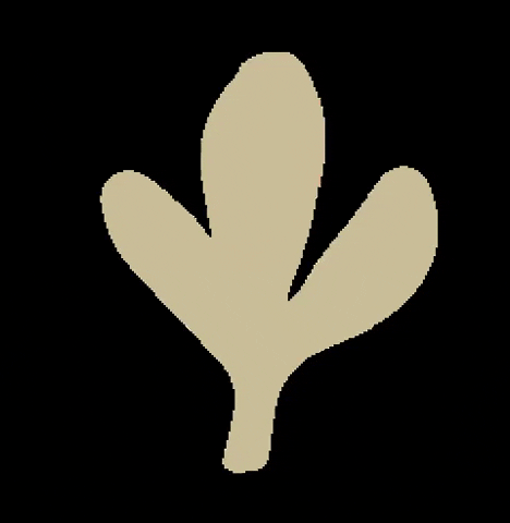 kokopeludo giphygifmaker leaf konstantina konst GIF