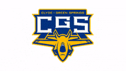 FlierNation flier nation GIF