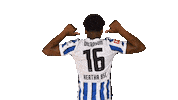 Home Facepalm Sticker by Hertha BSC