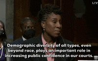 Judge GIF by GIPHY News