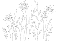 White Flowers Sticker