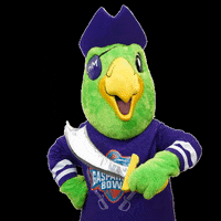 Gasparilla Bowl Football GIF by Union Home Mortgage Corp