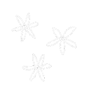 Flowers Daisies Sticker