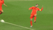 spain iniesta GIF by nss sports