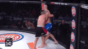 GIF by Bellator