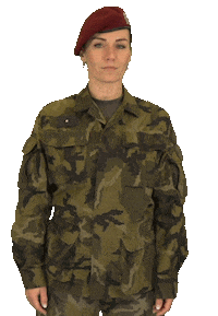 armadaceskerepubliky really army listening czech Sticker