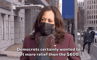Kamala Harris Stimulus GIF by GIPHY News