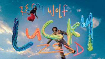 Flowers Fisheye GIF by Zedd