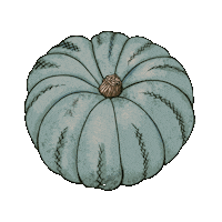 skyry halloween fall pumpkin thanksgiving Sticker