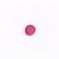 Art Animation GIF by PMS project