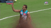 port adelaide GIF by AFL