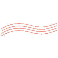 Pink Line Summer Sticker by Bloom & Wild