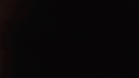 Germany Football GIF by Bundesliga