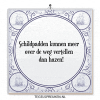 Humor Nl GIF by Tegelspreuken.nl