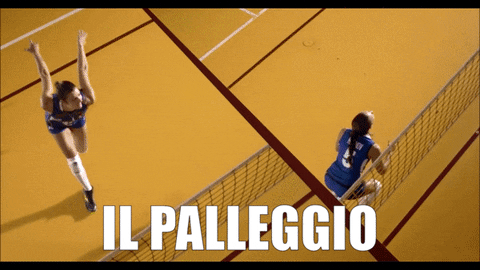 Customvolley giphyupload volleyball italia volley GIF